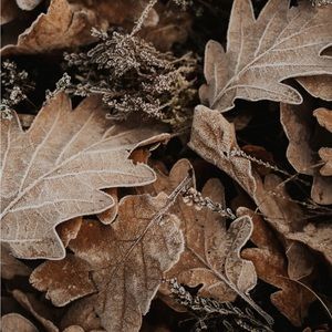 Meet your Posher, Deanna